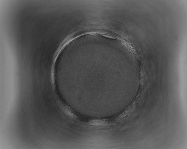 X0000113630296200909181522