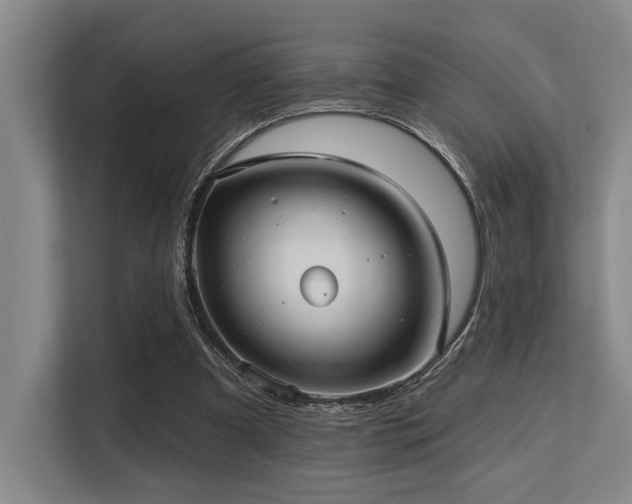 X0000113630297200909181522