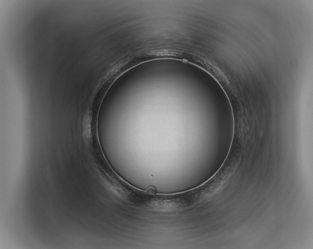 X0000113630299200909181522