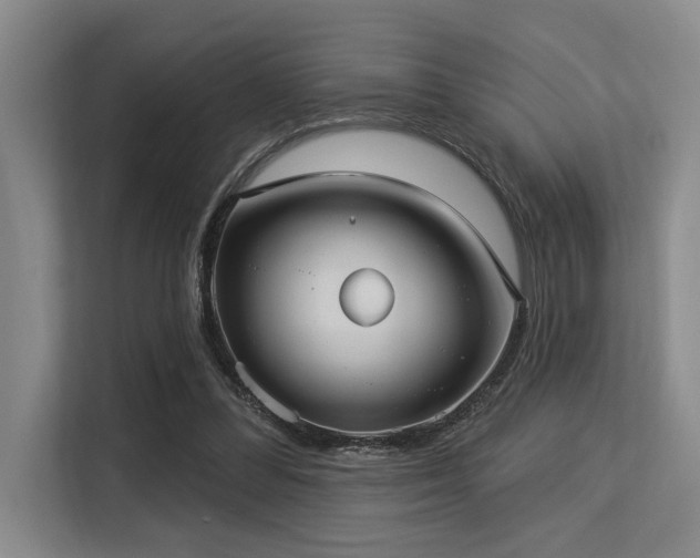 X0000113630300200909181522