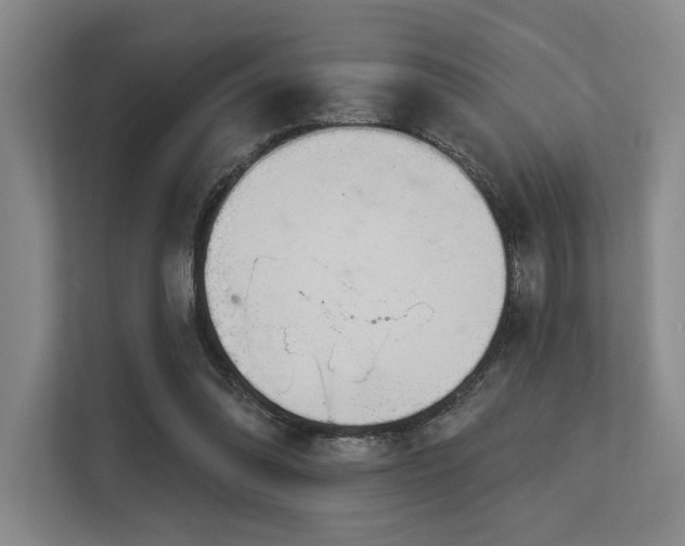 X0000113630302200909181522