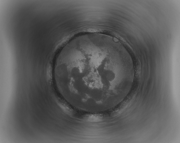 X0000113630303200909181522