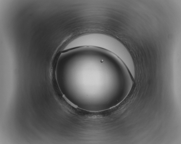 X0000113630304200909181522