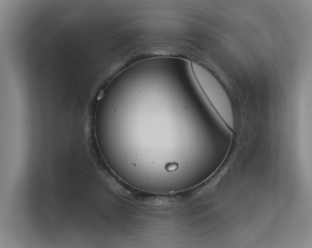 X0000113630305200909181522