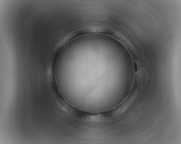 X0000113630306200909181522