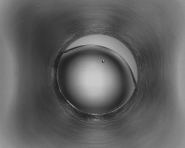 X0000113630308200909181522