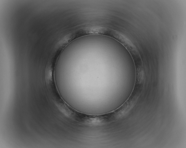 X0000113630310200909181522