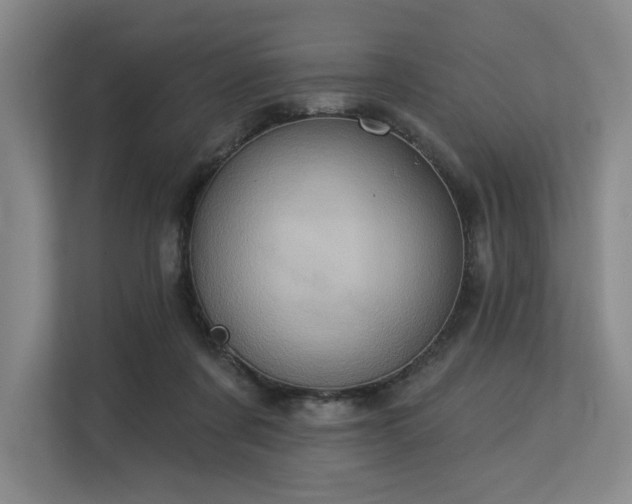 X0000113630311200909181522