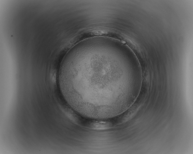 X0000113630315200909181522