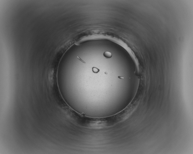X0000113630319200909181522