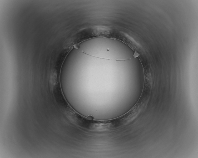 X0000113630323200909181522