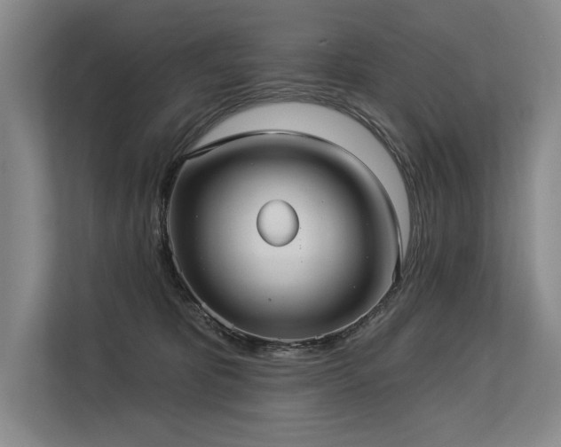 X0000113630325200909181522