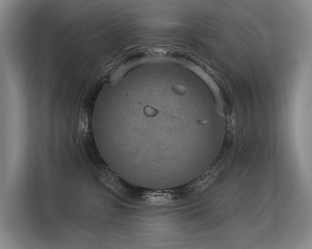 X0000113630331200909181521