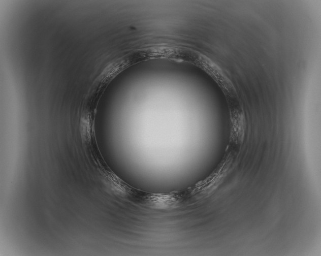X0000113630333200909181521
