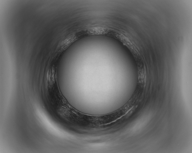 X0000113630334200909181521