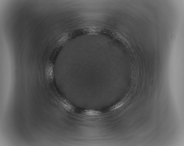 X0000113630336200909181521