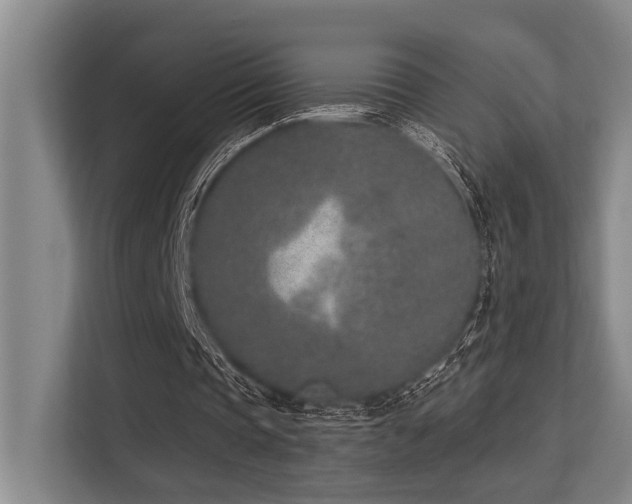 X0000113630337200909181521