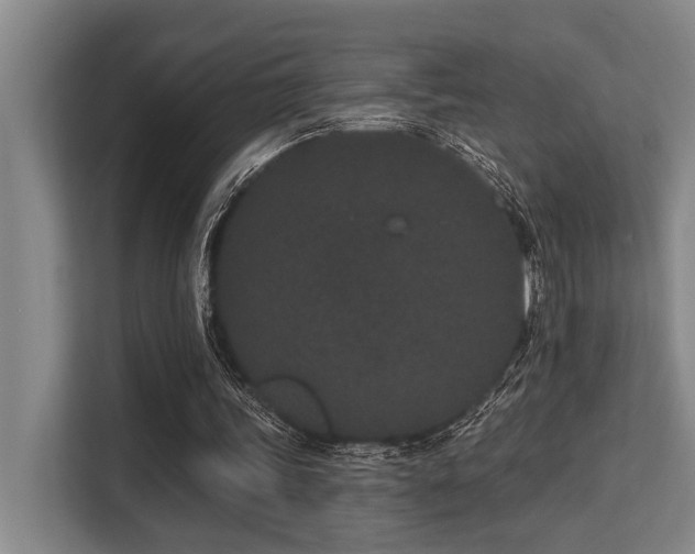 X0000113630339200909181521