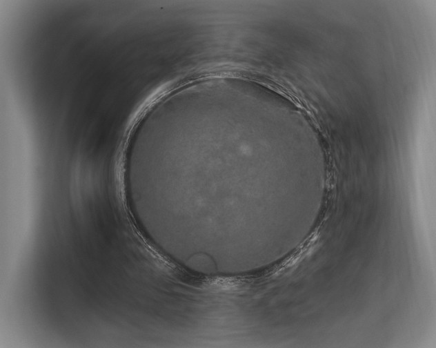 X0000113630341200909181521