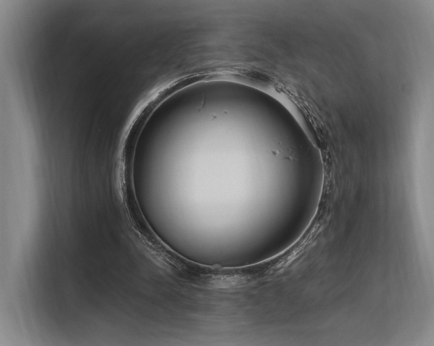 X0000113630342200909181521