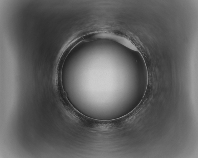 X0000113630344200909181521