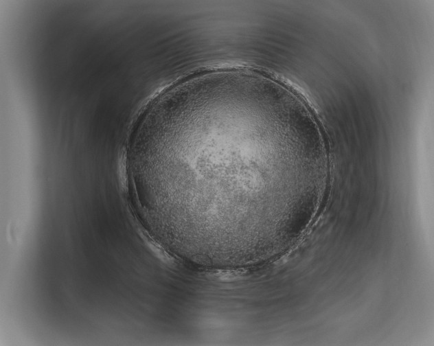 X0000113630345200909181521
