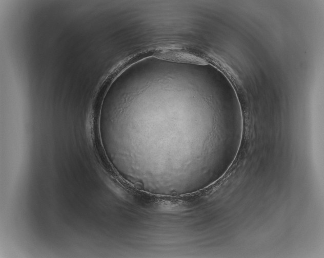 X0000113630346200909181521