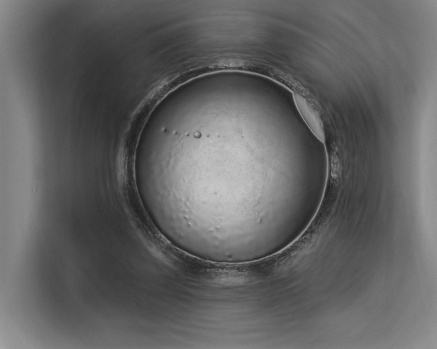 X0000113630347200909181521