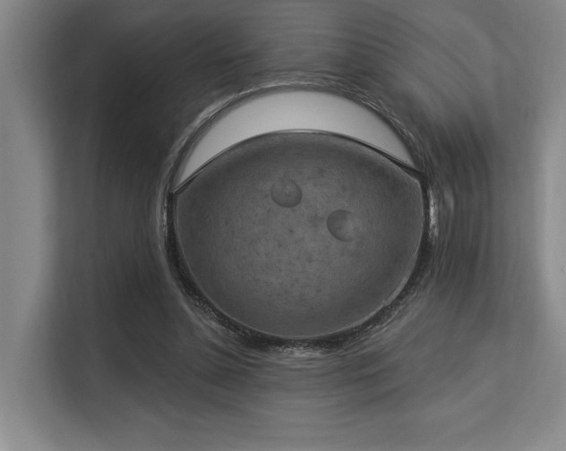 X0000113630348200909181521