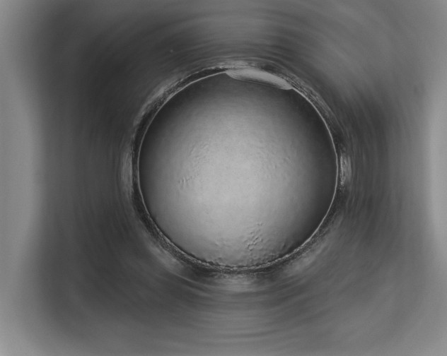 X0000113630349200909181521