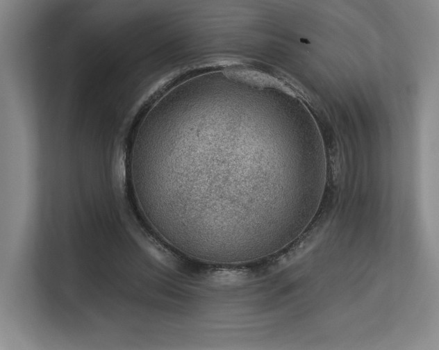 X0000113630350200909181521