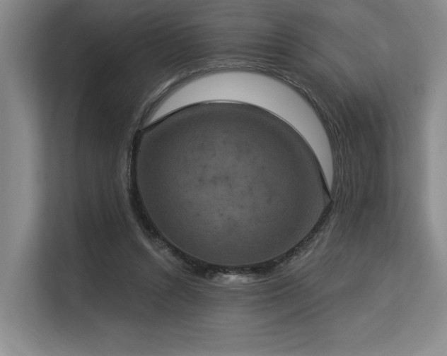 X0000113630352200909181521
