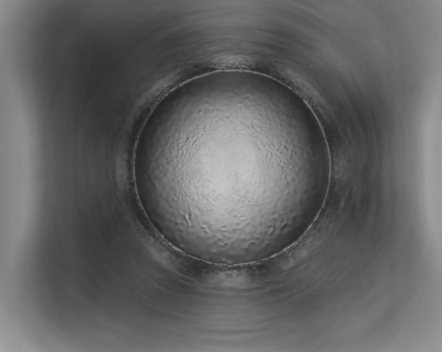 X0000113630353200909181521