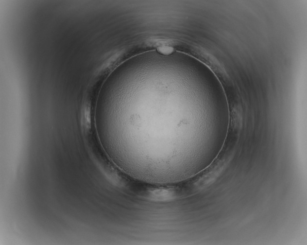 X0000113630358200909181521