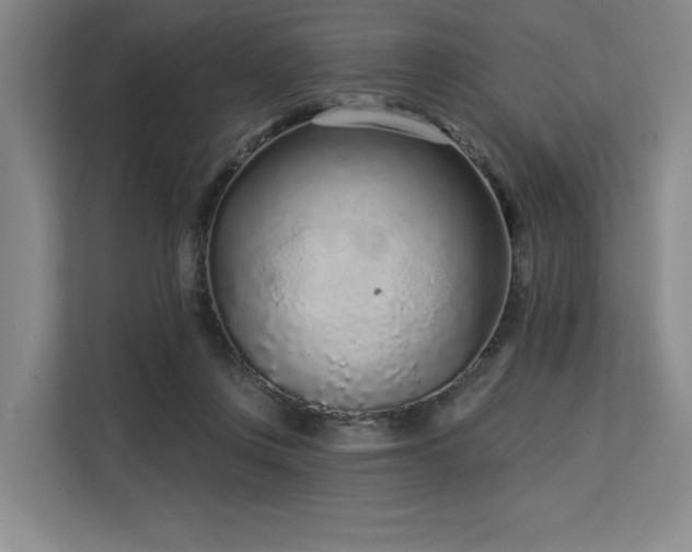 X0000113630359200909181521