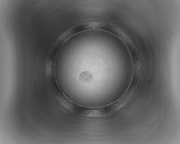 X0000113630361200909181521