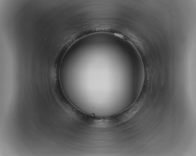 X0000113630362200909181521