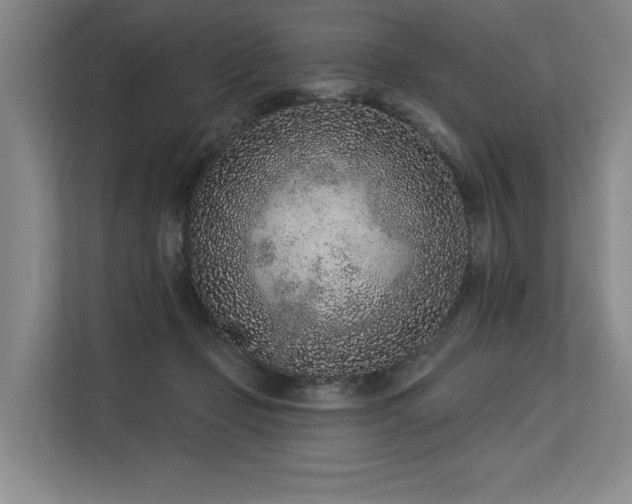 X0000113630365200909181521