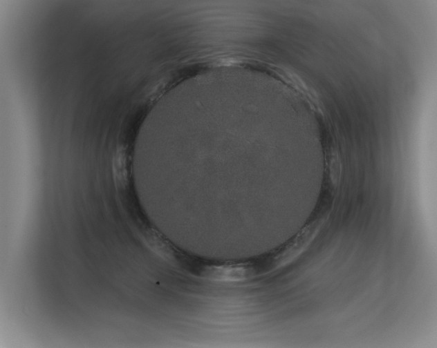 X0000113630366200909181521