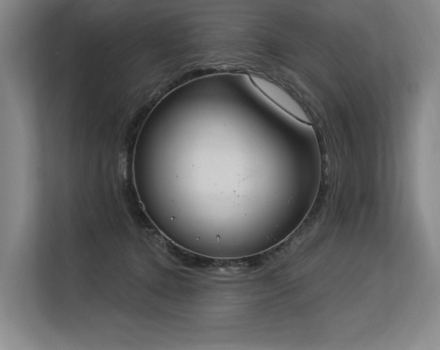 X0000113630368200909181521