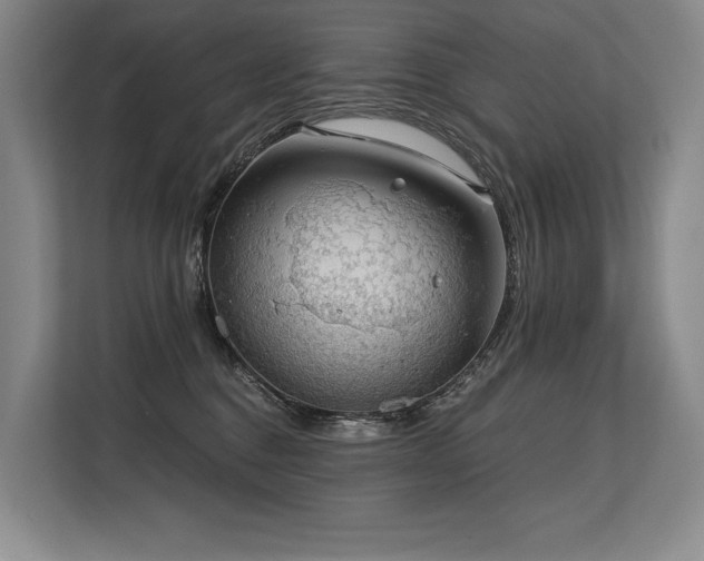 X0000113630376200909181521