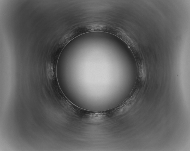 X0000113630378200909181521