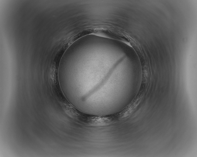X0000113630379200909181521