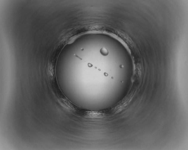 X0000113630380200909181521