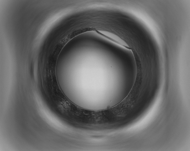X0000113630382200909181521