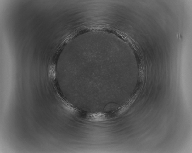 X0000113630383200909181521