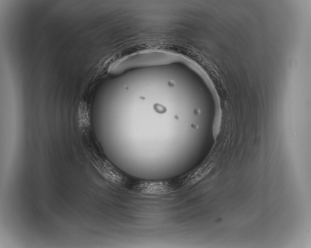 X0000113630384200909181521