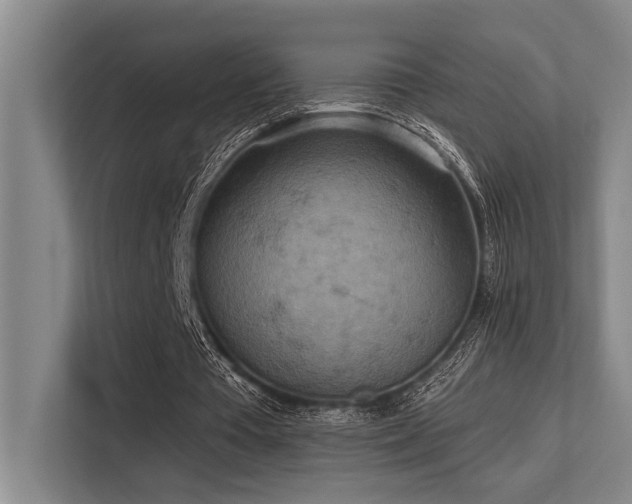 X0000113630385200909181521