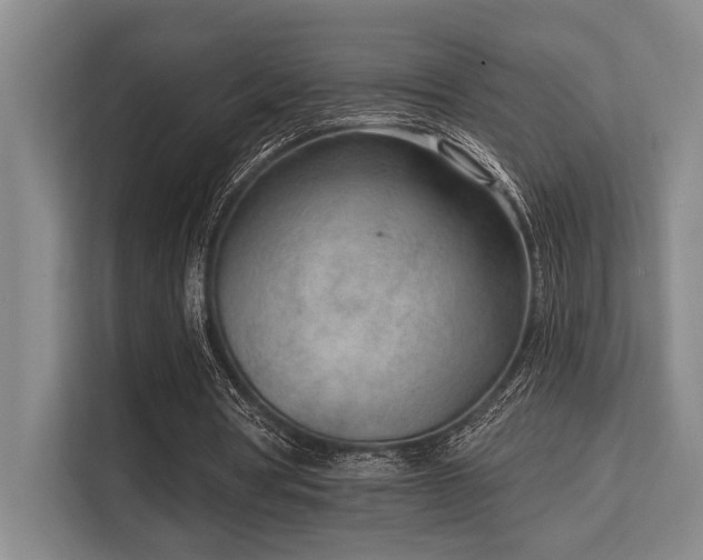 X0000113630386200909181521