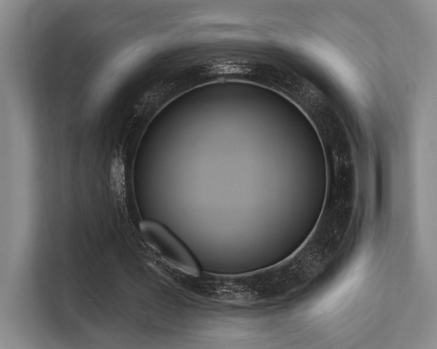 X0000113630387200909181521
